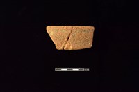 藏品(陶片)的圖片